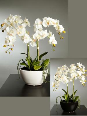 Orquideas artificiales de calidad. ORQUIDEAS BUTTERFLY ARTIFICIALES EN MACETA GRANDE oasisdecor.com