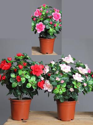 Azaleas artificiales economicas. AZALEA ARTIFICIAL ECONOMICA oasisdecor.com