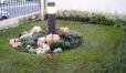 Mantenimiento de jardines, 10% dto sobre presupuesto.