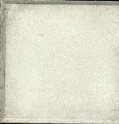 Tono Blanco/100