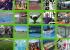 projectos, construcciones, instalaciones, equipamientos y material deportivo