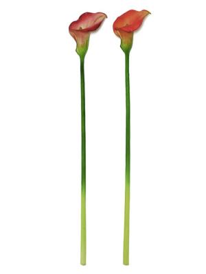 Calas artificiales de calidad. CALA ARTIFICIAL oasisdecor.com