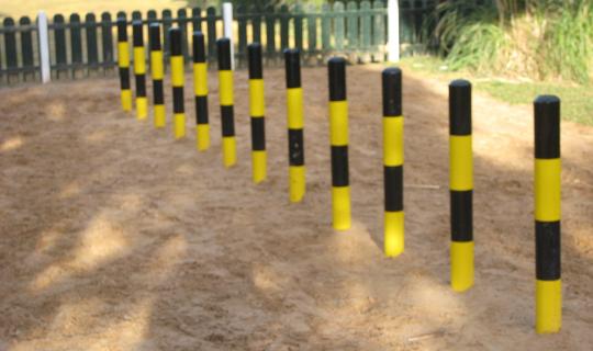 CIRCUITOS PARA PERROS