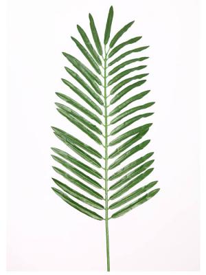 Hojas artificiales economicas. HOJA CYCA ARTIFICIAL PEQUEÑA oasisdecor.com