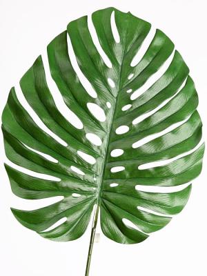 Hojas artificiales de calidad. HOJA SPLIT PHILO ARTIFICIAL GRANDE oasisdecor.com