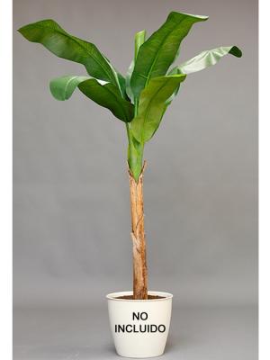 Bananeras artificiales economicas. PLATANERA ARTIFICIAL ECONOMICA oasisdecor.com