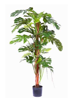 Plantas artificiales de calidad. FILODENDRO ARTIFICIAL CON TUTOR oasisdecor.com