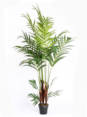 Kentias artificiales de calidad. PALMERA KENTIA ARTIFICIAL oasisdecor.com
