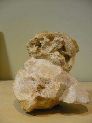 rocalla alimaña