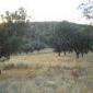 finca rustica 