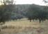 finca rustica 