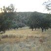 finca rustica 