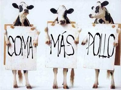 como los del 15 M