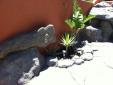jardineras