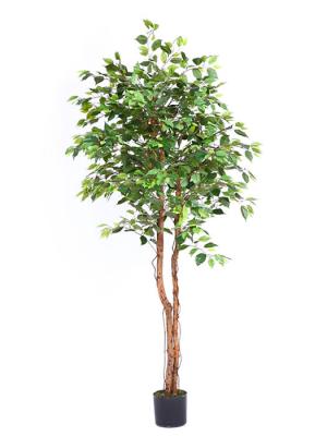 Ficus artificiales economicos. Arbol ficus artificial 183 oasisdecor.com