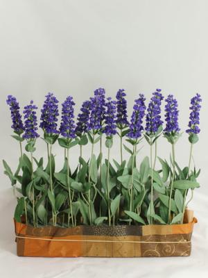 flores artificiales cementerio. Jardinera cementerio lavanda artificial oasisdecor.com