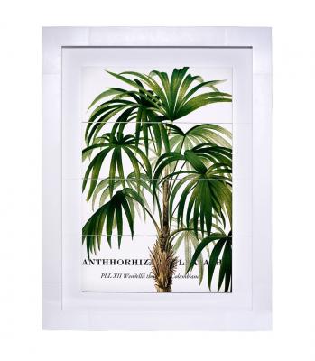 Cuadro Aka Palmera