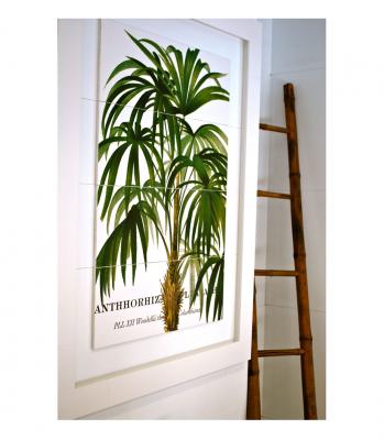 Ambiente Cuadro Aka Palmera