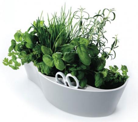 Herbolario maceta con tijeras