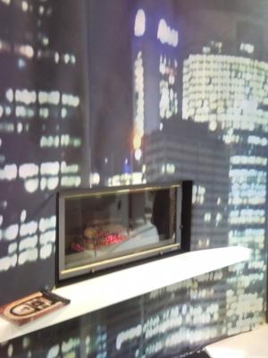 CHIMENEAS FENIX 10