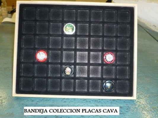 Bandeja para coleccion chapas cava