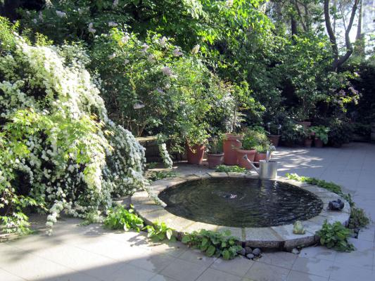 Estanque en terraza de jardin
