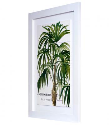 Cuadro Aka Palmera