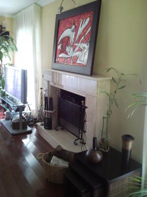 CHIMENEAS FENIX 41