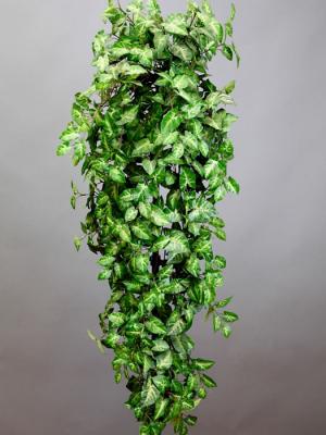 Plantas artificiales economicas. Planta colgante syngonium artificial oasisdecor.com