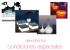 Decolight profesionales