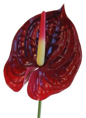 Flores artificiales de calidad. Anthurium artificial de latex rojo oasisdecor.com