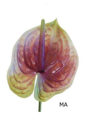 Flores artificiales de calidad. Anthurium artificial de latex rosa oasisdecor.com