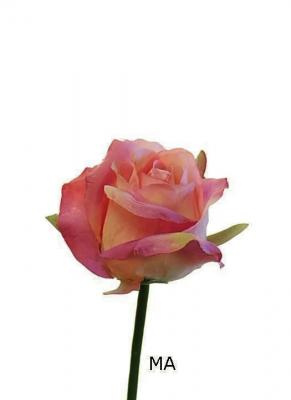 Rosas artificiales economicas. Capullo rosa artificial pequeño malva oasisdecor.com
