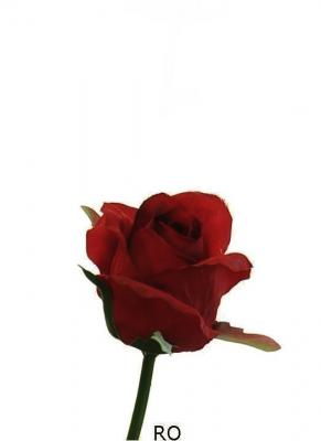Rosas artificiales economicas. Capullo rosa artificial pequeño rojo oasisdecor.com
