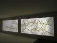 panel decorativo claraboya