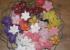SERIE VELAS FLOTANTES