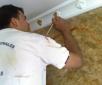 www.pintores-decoradores-madrid.com