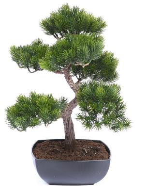 Bonsaia artificiales de calidad. Bonsai pino artificial oasisdecor.com