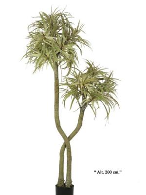 Dracenas artificiales de calidad. Dracena marginata x 2 cabezas oasisdecor.com