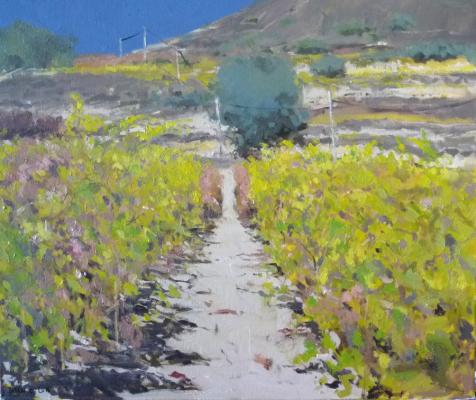 Viñedo de la Rioja, oleo sobre lienzo