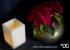 DECORAGLOBA_AMBIENTE 6
