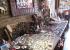 Tienda Othon