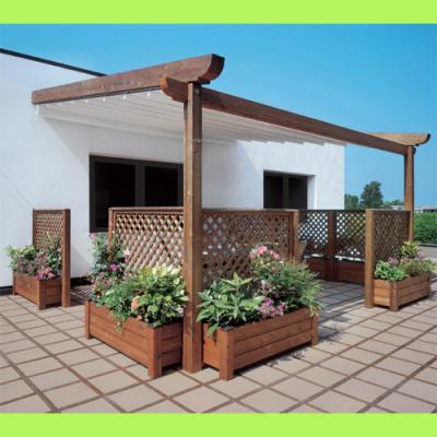 Pergola Adosada