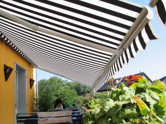 TOLDO MODELO SELECT