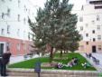 Jardín Badajoz