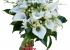 Ramo de novia, bodas en sevilla, 150,00 EUR - 10 % Dto.