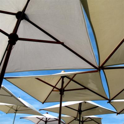 Parasoles