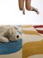 Alfombras Now Carpets
