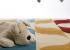 Alfombras Now Carpets