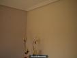 pintura de salom